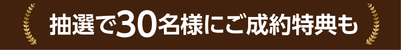 抽選で30名様にご成約特典も